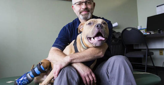 K-9 Orthotics & Prosthetics Inc.