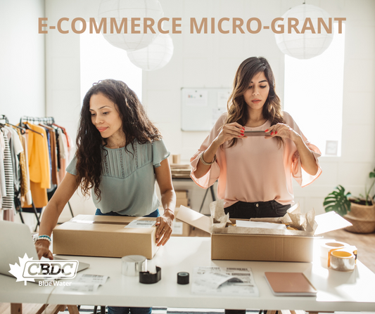 Canada's Digital Adoption Program